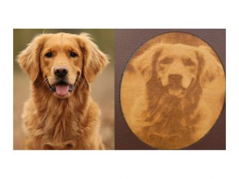 Golden Retriever EU-Heimtierausweis Impfpassausweis Hülle aus Filz mit Laser Gravur in Leder in braun
