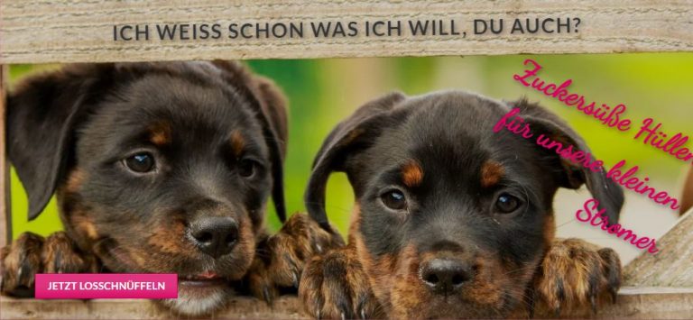 Cover Bild-3