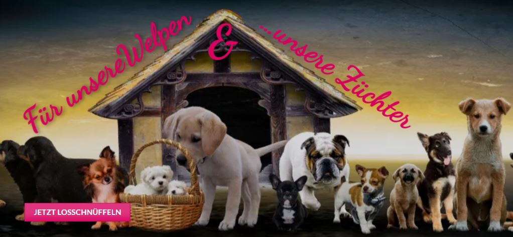 Tierpersonalausweis Hundepass Hüllen